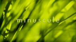 خیلی خیلی کوچک (2) (شکارچی سوسیس)